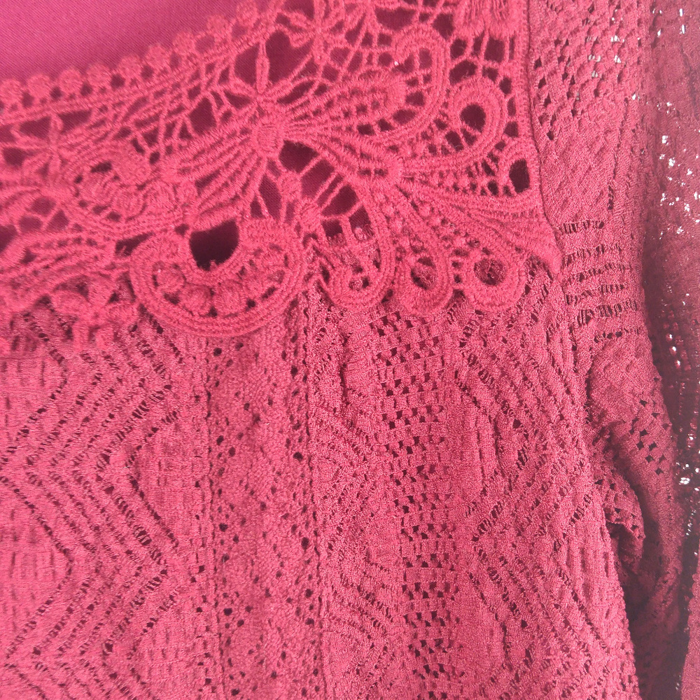 Anthropologie Meadow Rue Burgundy Lace Top - Picture 8 of 8